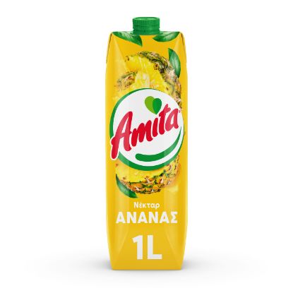 AMITA νέκταρ ανανά 1lt