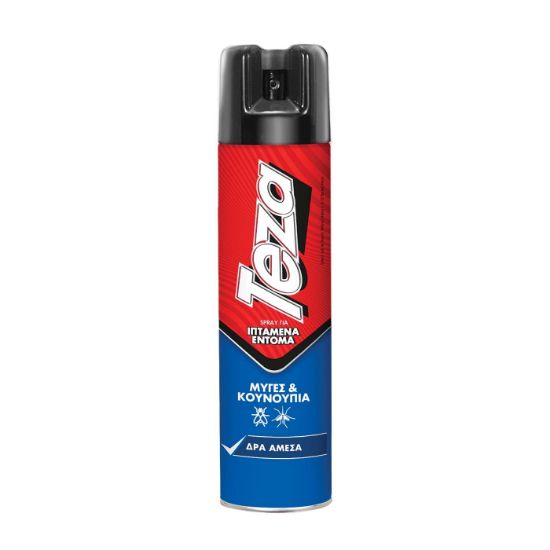 TEZA Fik insecticide spray 300ml